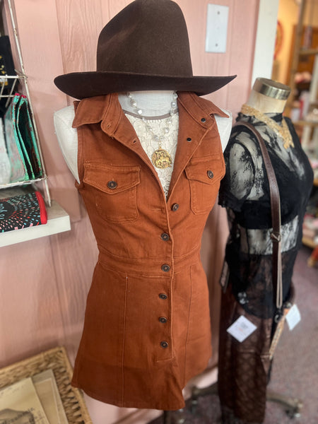 Leave Her Wild Rust Denim Dress
