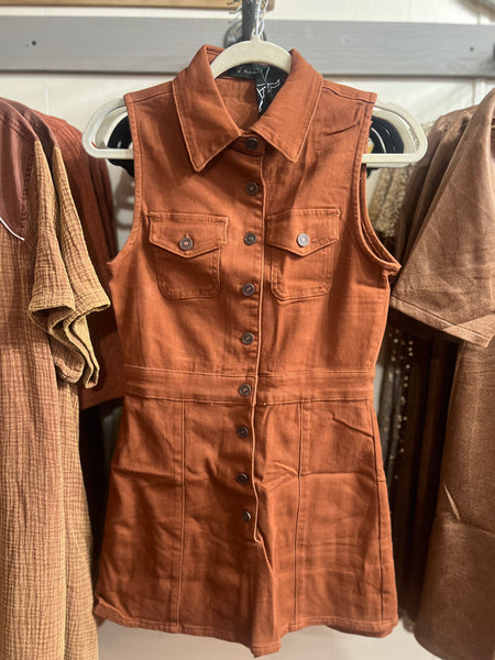 Leave Her Wild Rust Denim Dress