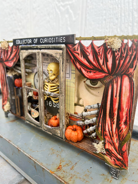 Collector of Curiosities Halloween Decor Box
