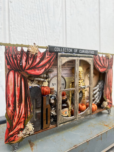 Collector of Curiosities Halloween Decor Box